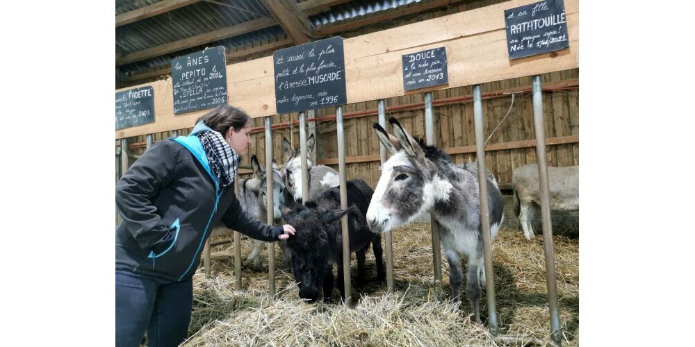 Bouxwiller. Trente bougies et deux jours de fête à la ferme pédagogique
