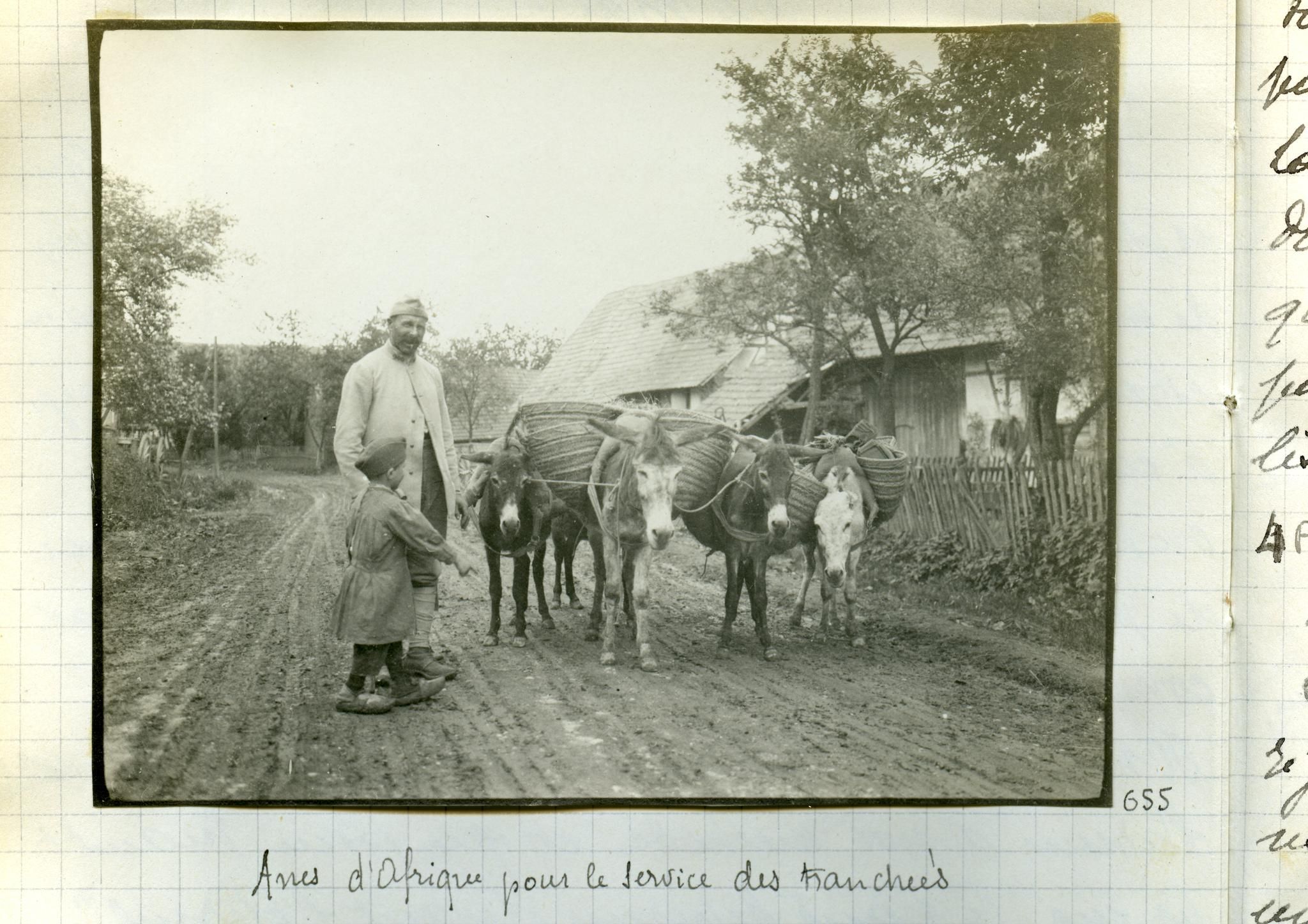 Exposition : à Meaux, hommes et chevaux, frères d’armes en 14-18