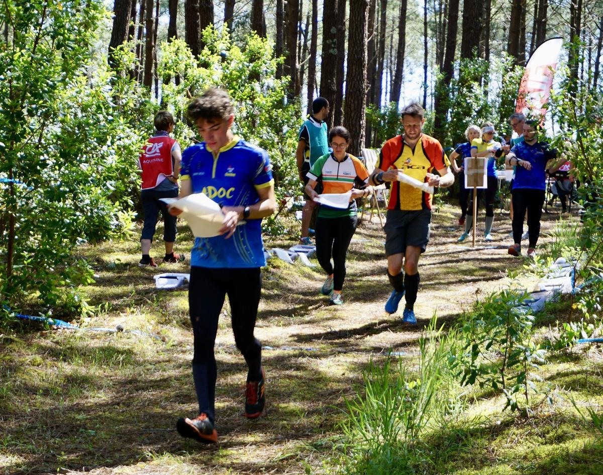 Médoc : 2 600 sportifs ont concouru lors du championnat de France de course d’orientation